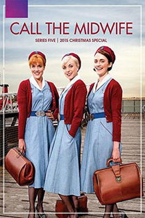 midwifery，Midwifery 翻译