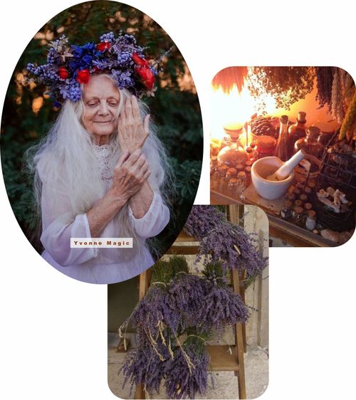 漫播怎么查看自己的弹幕