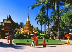 中科院植物园西双版纳简介，西双版纳简介介绍简短