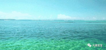 关于知音知己的诗文诗句