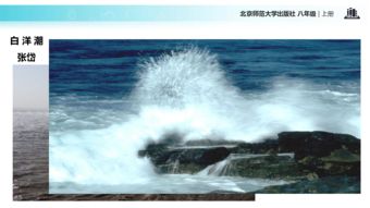 白洋潮拼音版，白洋潮原文及拼音