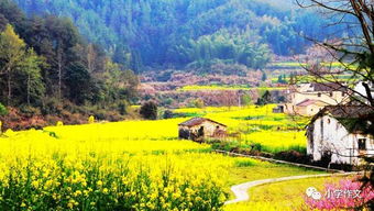 描写乡村美景的好段150字，描写乡村美景的好段子