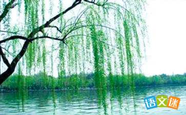 小学关于柳树的古诗，关于柳树的古诗五言绝句