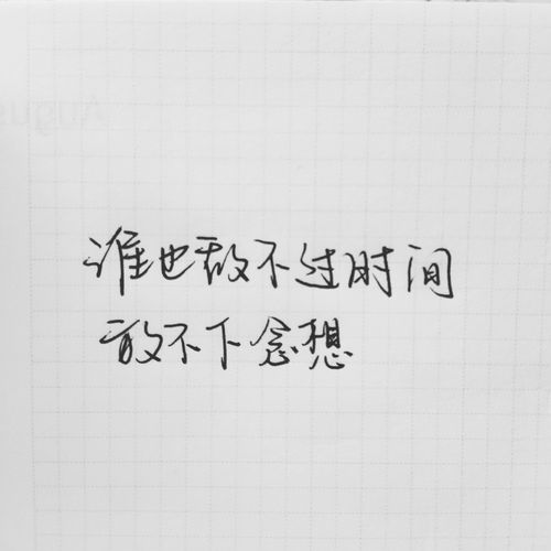 杂诗其二，杂思大王