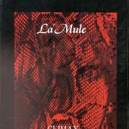 自我认同感有几种状态