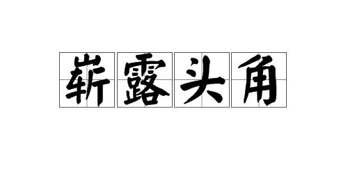 一展风采的近义词，团队风采的近义词