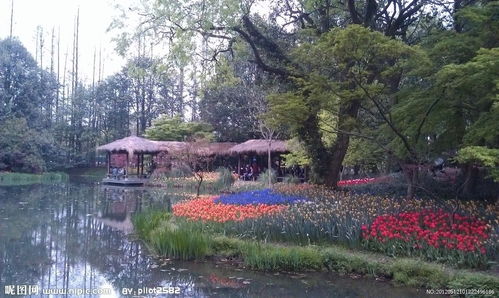 杭州西湖2022太子湾公园需要门票吗?