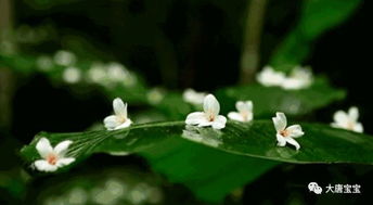 清风知己网怎么样，清风知己网会员