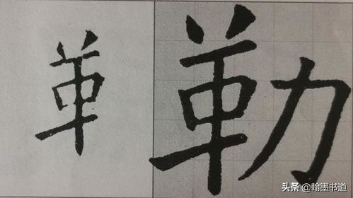 以寸为偏旁的有什么字?