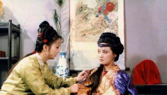 通房丫鬟要爬墙小说