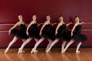 舞蹈专业有哪些学校