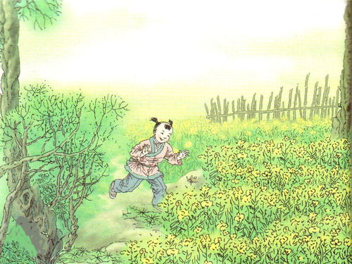 卧剥是一个词吗，卧剥的拼音