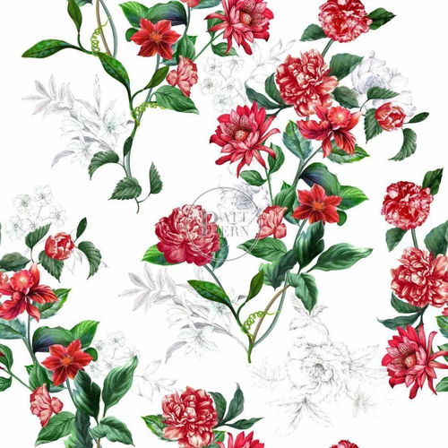 繁盛的反义词是什么，繁盛灵兽王