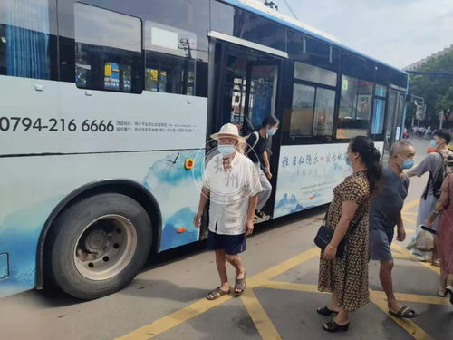 舒蕾姐和我在公交车上，我在公交车上经常会给老人