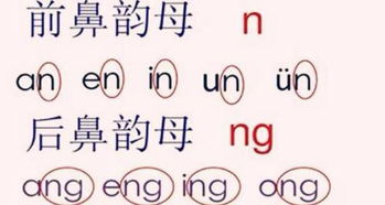 前鼻音字母表 哪些是前鼻音?哪些是后鼻音?