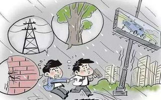 不同级别的风用英语怎么表示