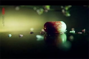 乖舛的拼音，乖舛怎么解释