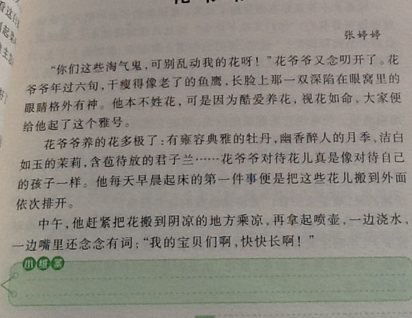 小学生令我难忘的一个人400字作文【五篇】