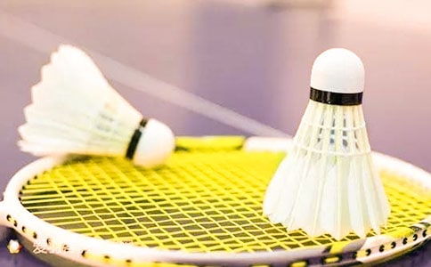 羽毛球比赛作文500字优秀，羽毛球比赛作文200字