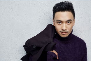 杨轶简历，杨轶墨菲的都市小说