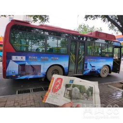 邢台公交车线路一览表，邢台公交怎么扫码乘车