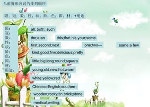 形容词顺序十字口诀例子大全，形容词的顺序口诀8个字