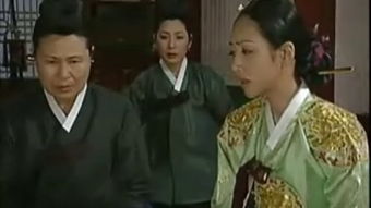 韩国历史剧电视剧大全，韩国历史剧电视剧阶伯