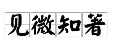 见微知著是什么意思?