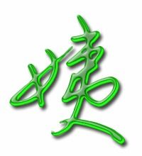 姨的组词有哪些词语