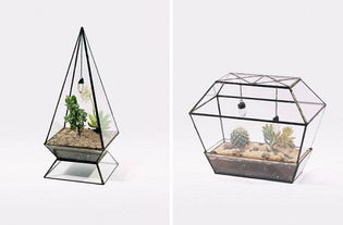 家庭养花怎样选用花盆