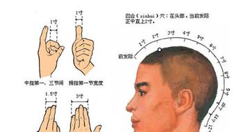 百会在人体什么位置，百会的准确位置及功效