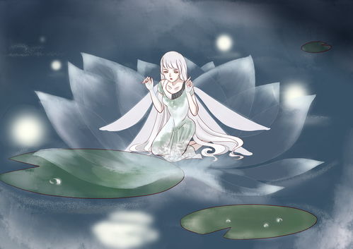 月见草图片，月见草油胶丸降血脂效果怎么样