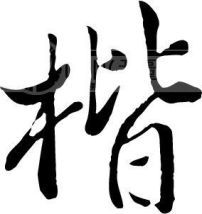 楷体，楷字怎么读