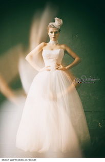 林黛玉咏白海棠的全文翻译