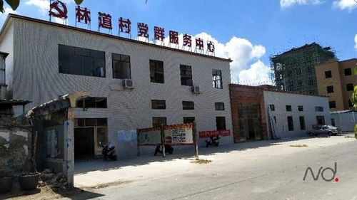 鳌头的意思是什么?