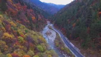 下四川歌词，下四川甘肃民歌