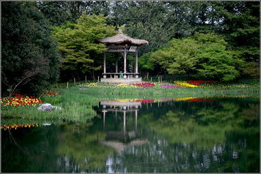 杭州太子湾公园景点介绍，杭州太子湾公园在哪里