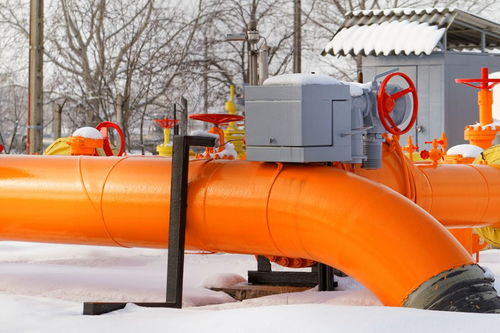 草菅人命的拼音