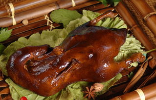 黑鸭子组合经典歌曲100首，黑鸭子组合的歌曲