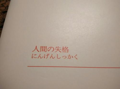 《人生》读后感800字大学生作文，《追风筝的人》读后感800字