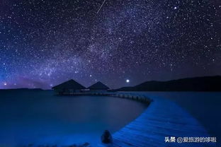 毂纹什么意思 夜阑风静毂纹平