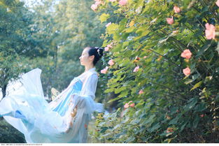 且向花间留晚照是什么动物，且向花间留晚照打一正确生肖