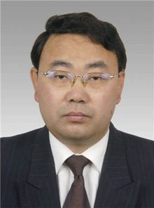 陈兵是什么人?*ST皇台副总经理