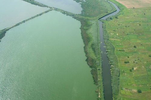 河字的汉语拼音咋写?