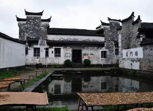 崇仁县属于哪个市