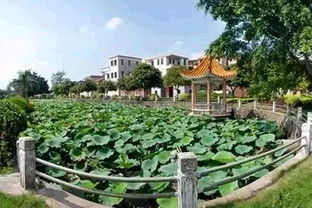 三水白坭镇可以办外省身份证吗