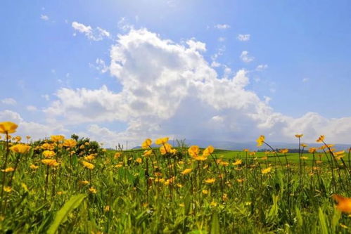 磐石天气预报磐石天气预报15天