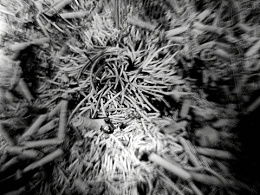 香炉里面的香灰怎么处理呢?