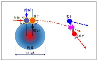 【核力】的意思是什么?【核力】是什么意思?