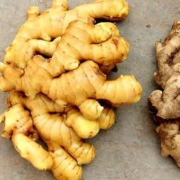 辣姜和沙姜的区别